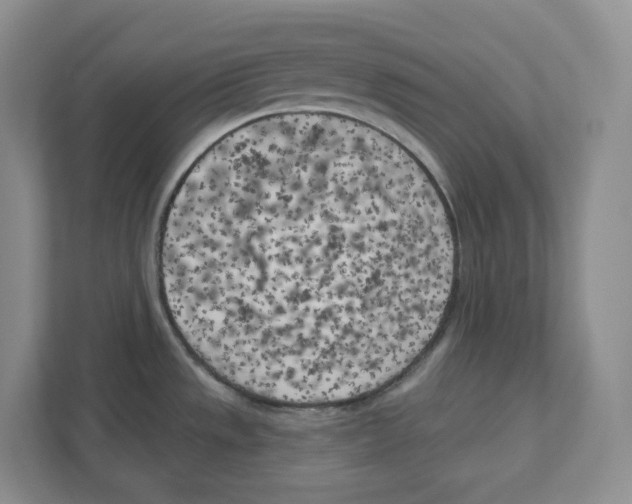 X0000111181533200907291133