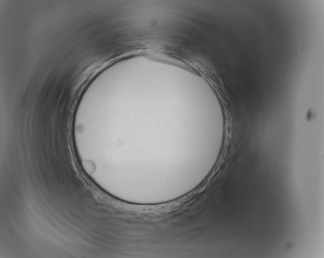 X0000111180001200908121123