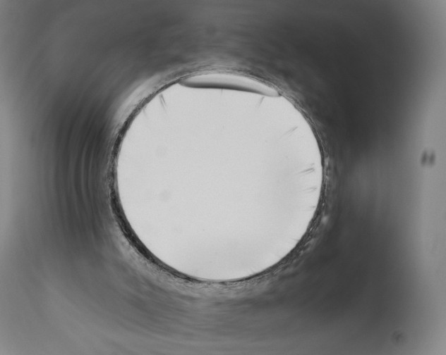 X0000111180007200908121123