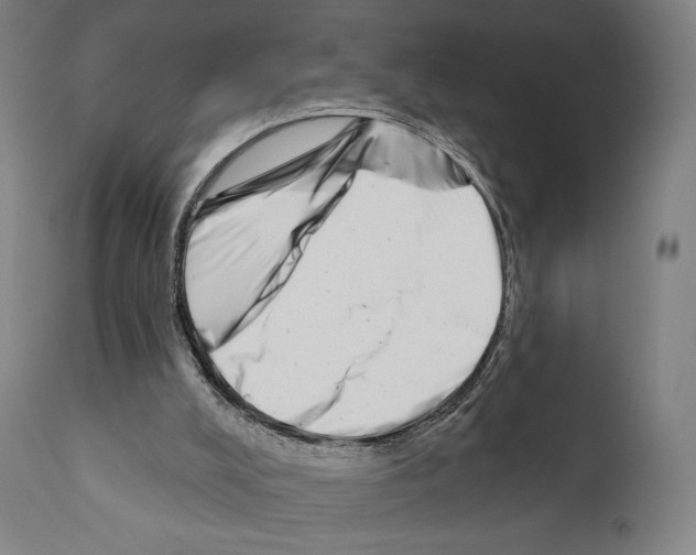 X0000111180008200908121123