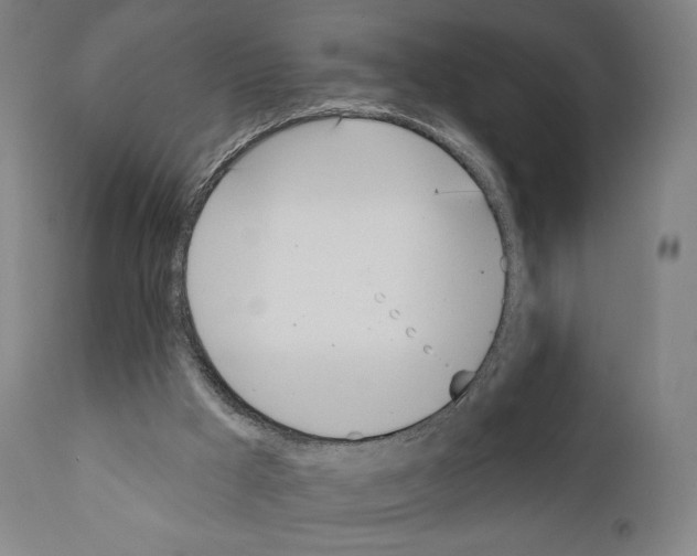 X0000111180009200908121123