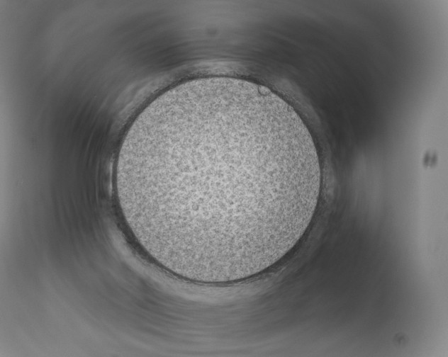 X0000111180014200908121123