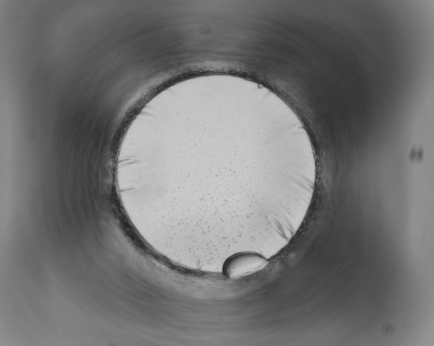 X0000111180016200908121122