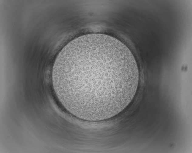 X0000111180018200908121122