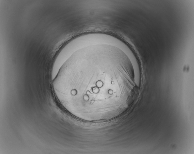 X0000111180019200908121122