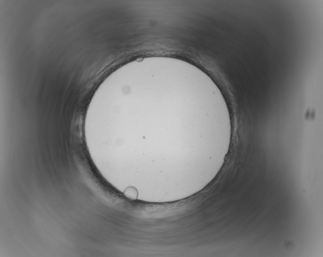 X0000111180021200908121122