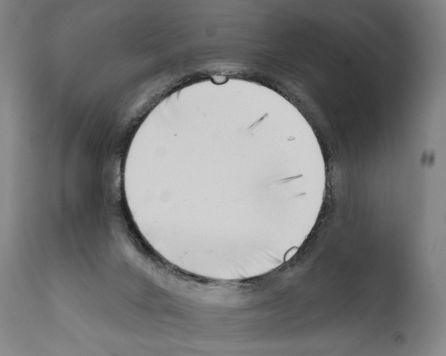 X0000111180024200908121122