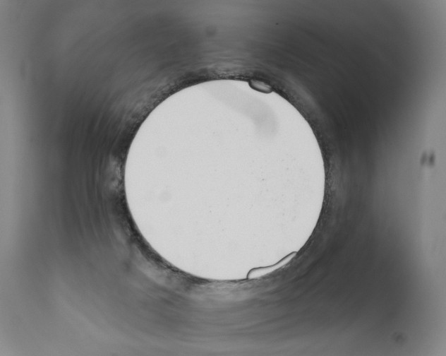 X0000111180025200908121122