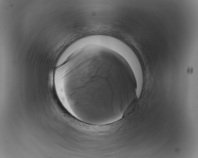 X0000111180027200908121122