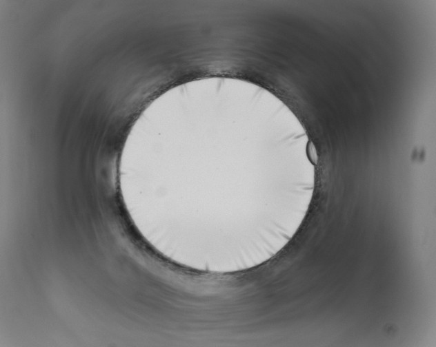 X0000111180028200908121122