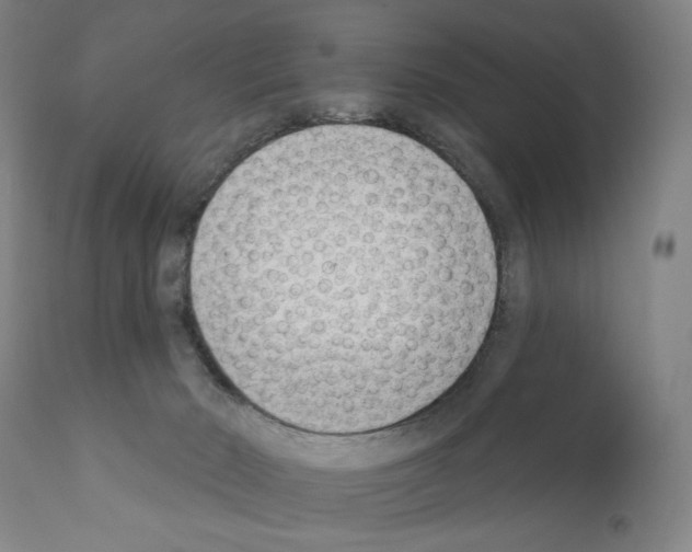 X0000111180030200908121122