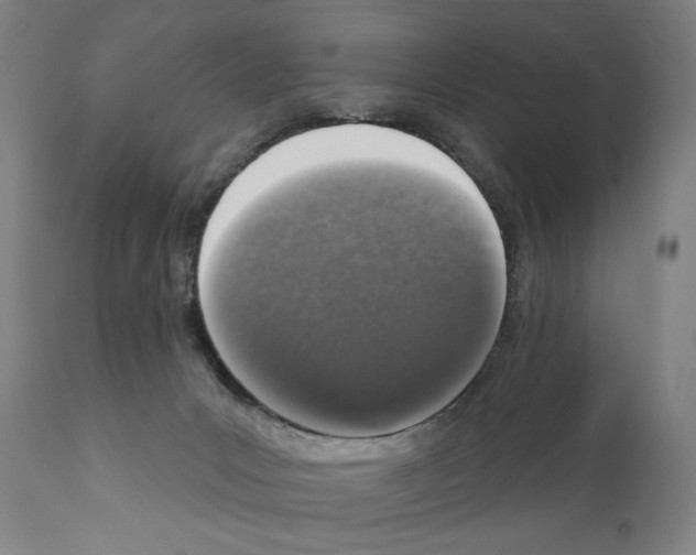 X0000111180031200908121122