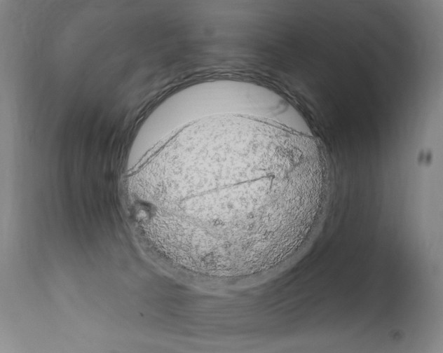 X0000111180033200908121122