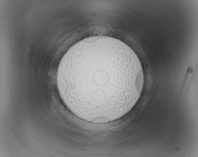 X0000111180034200908121122