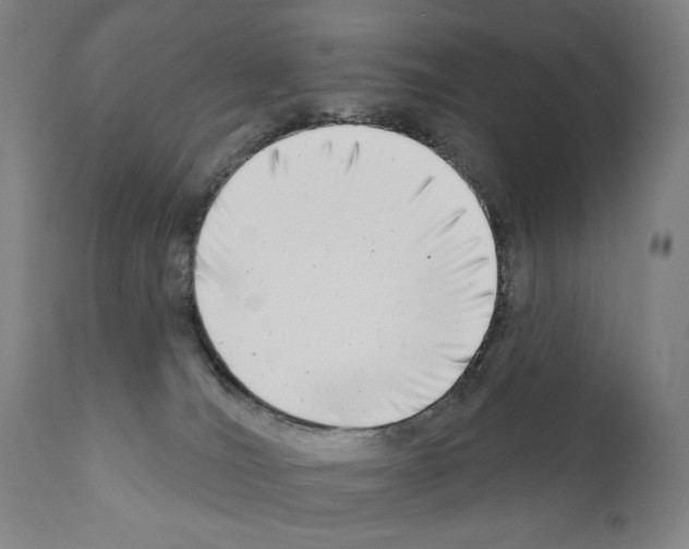 X0000111180036200908121122