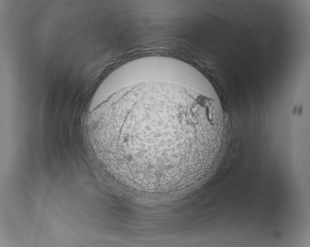 X0000111180037200908121122