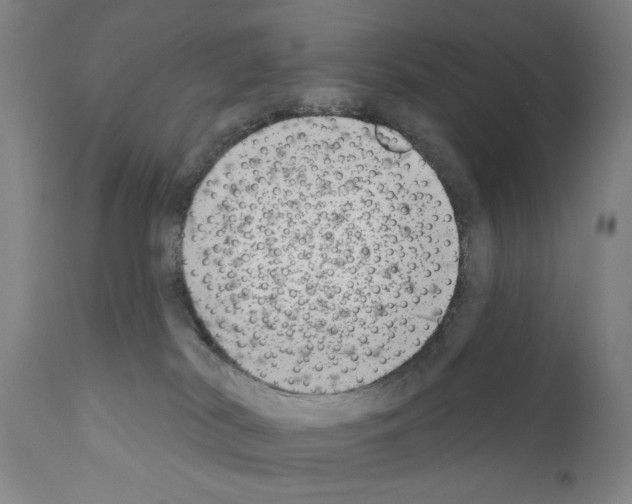 X0000111180038200908121122