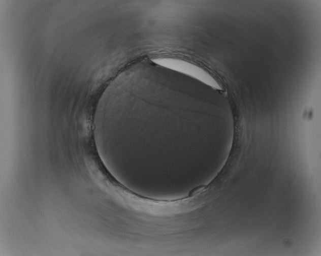 X0000111180039200908121122