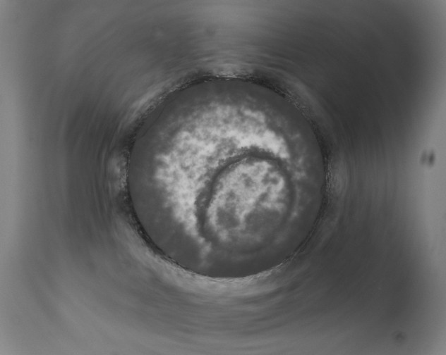 X0000111180043200908121122