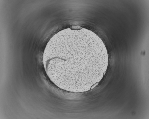 X0000111180044200908121122