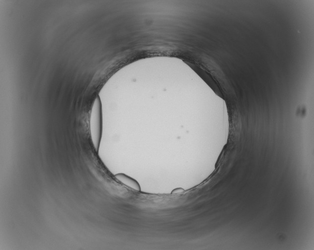 X0000111180045200908121122