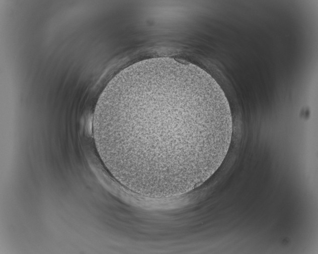 X0000111180046200908121122