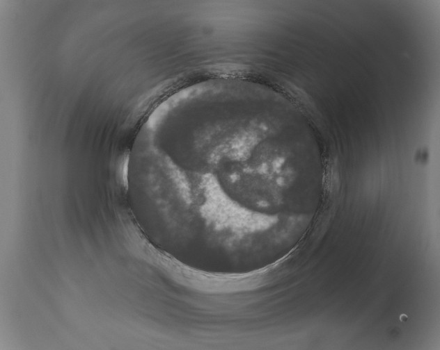 X0000111180047200908121122