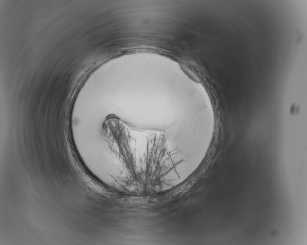 X0000111180049200908121121