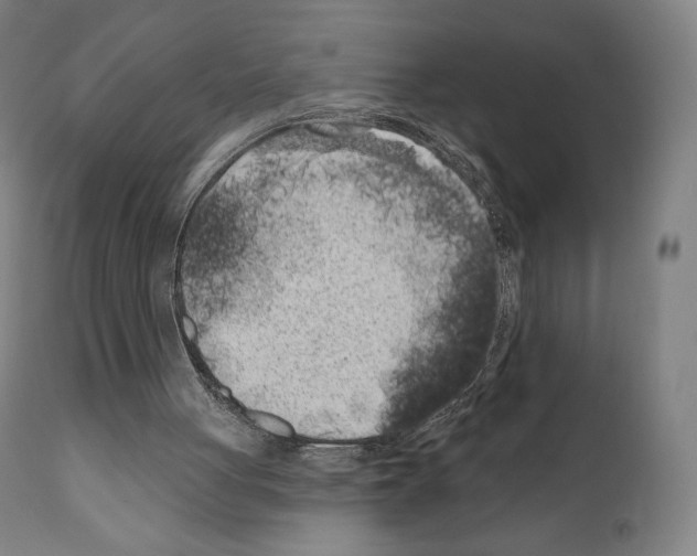 X0000111180051200908121121