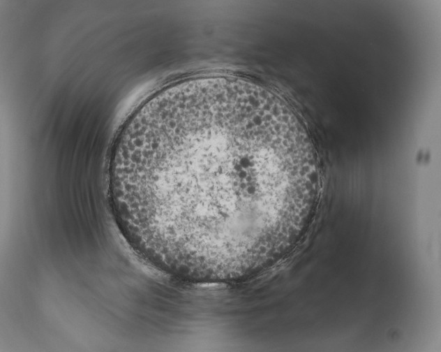 X0000111180053200908121121