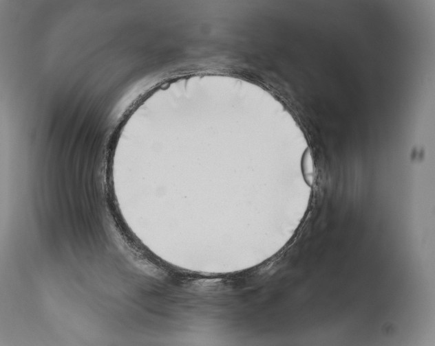 X0000111180054200908121121