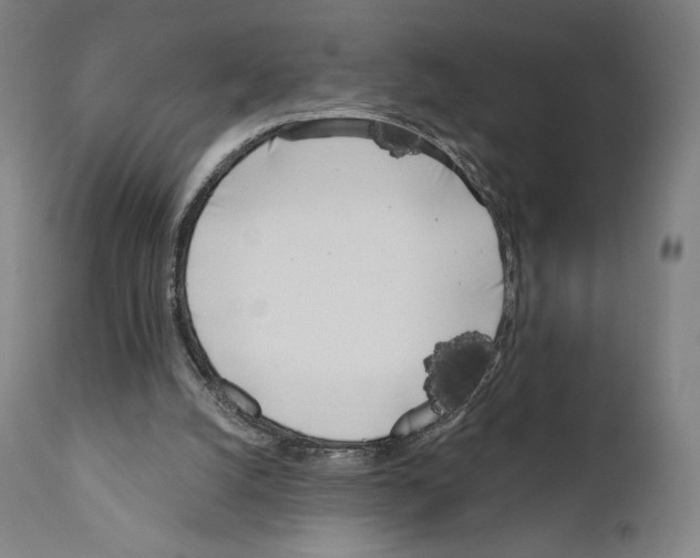 X0000111180056200908121121