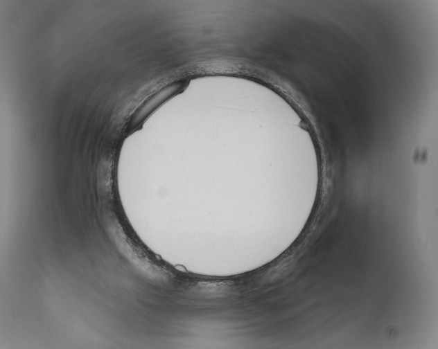 X0000111180057200908121121