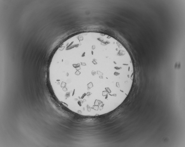 X0000111180059200908121121