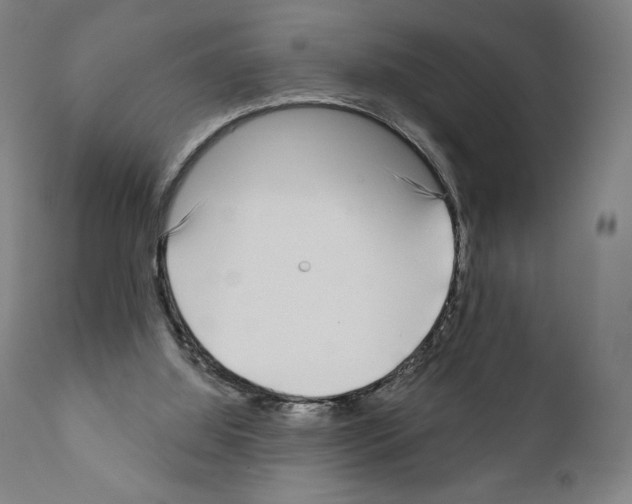 X0000111180060200908121121