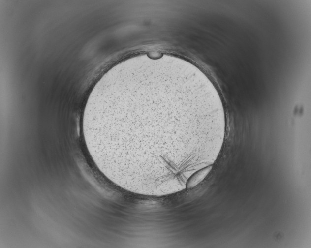 X0000111180061200908121121