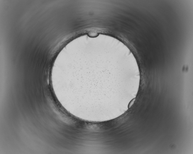 X0000111180062200908121121