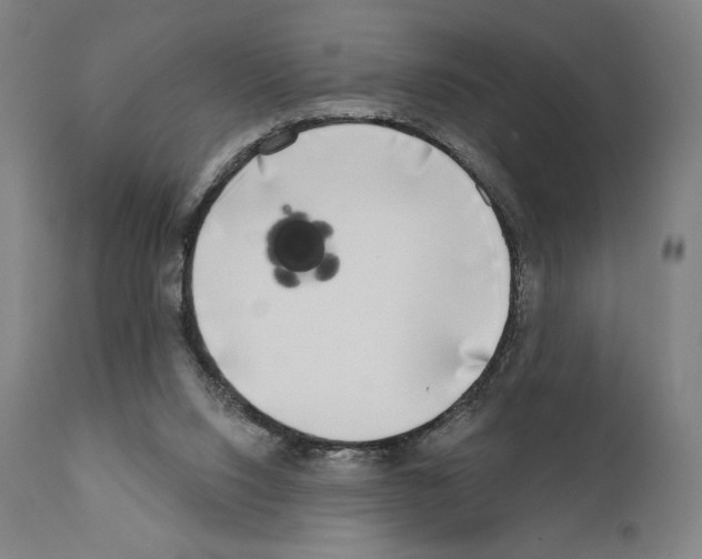 X0000111180064200908121121