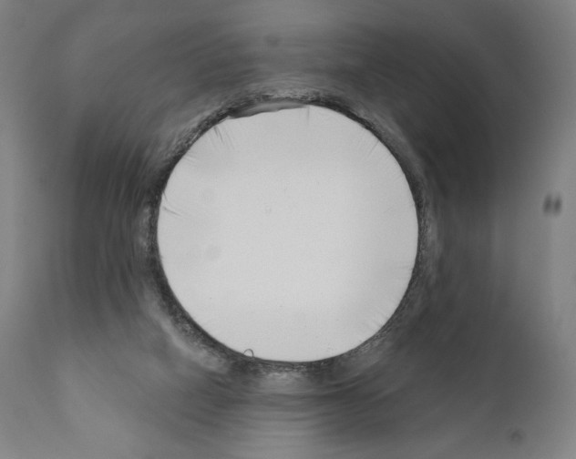 X0000111180066200908121121