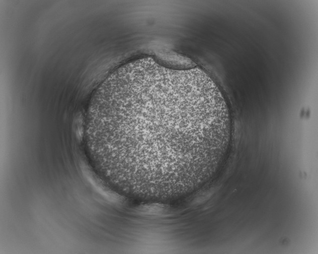 X0000111180069200908121121