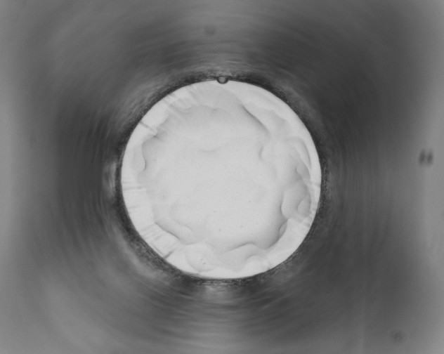 X0000111180070200908121121