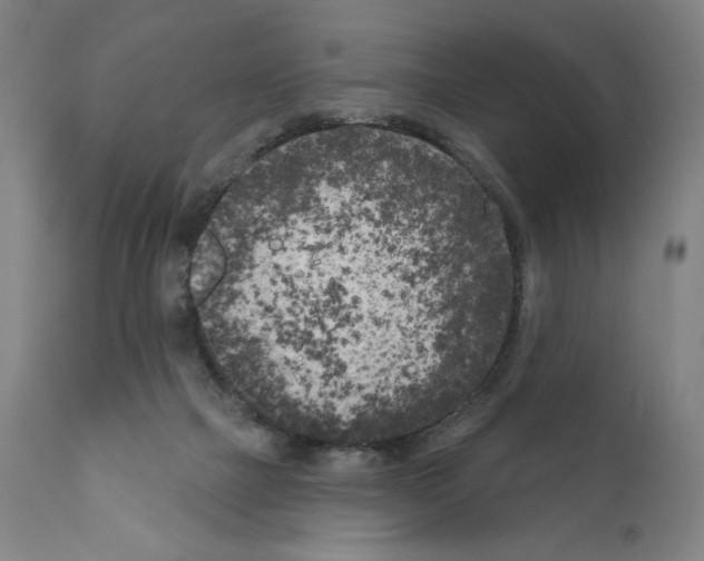 X0000111180073200908121121