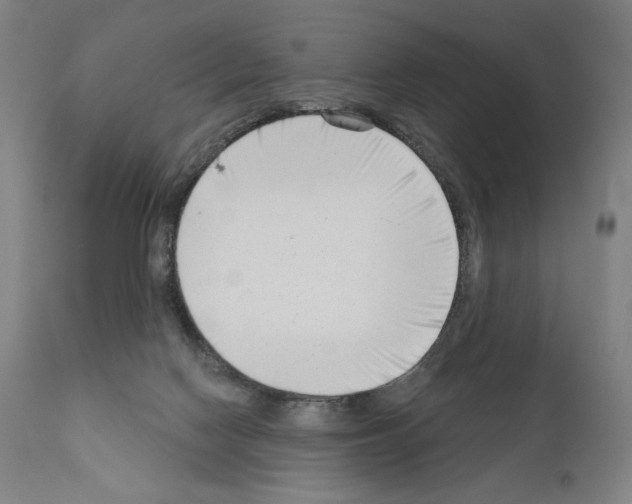 X0000111180074200908121121