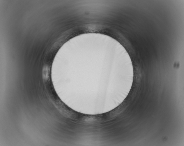 X0000111180075200908121121