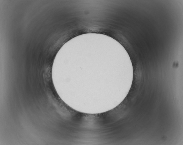 X0000111180079200908121121