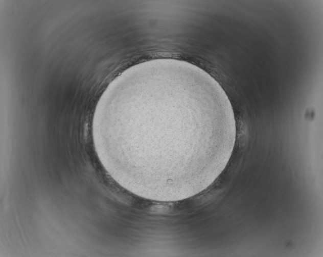 X0000111180080200908121121