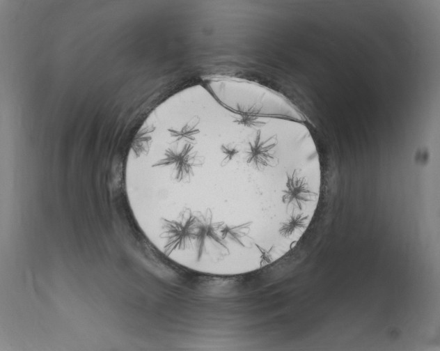 X0000111180081200908121121