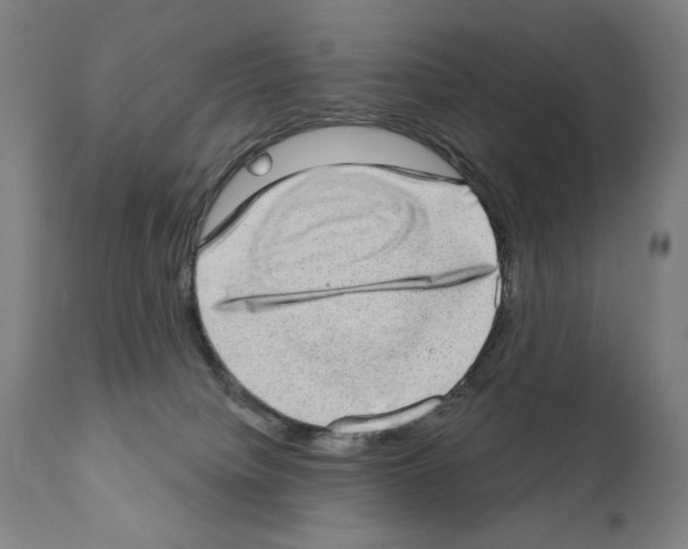 X0000111180084200908121122