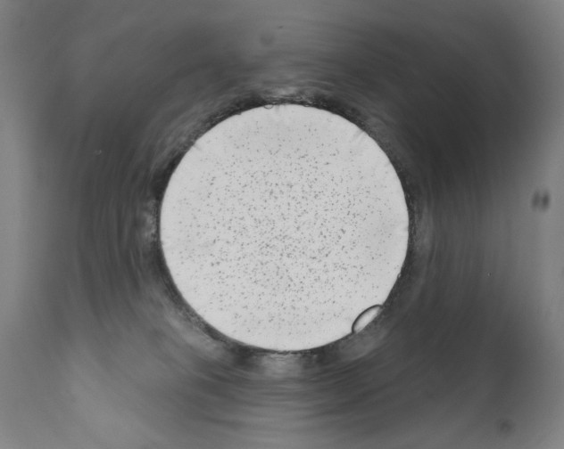 X0000111180085200908121122