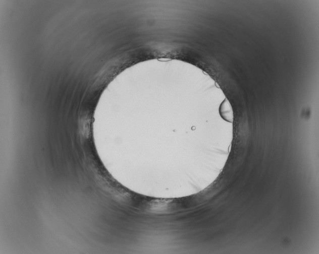 X0000111180090200908121122